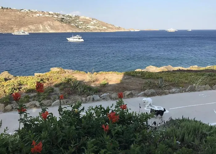 Apollon House On The Sea Tatil Evi Agios Ioannis Diakoftis